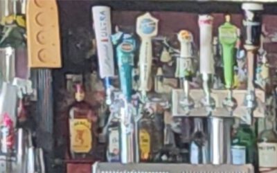Neighborhood Pub with 4cop quota license- Boca Raton